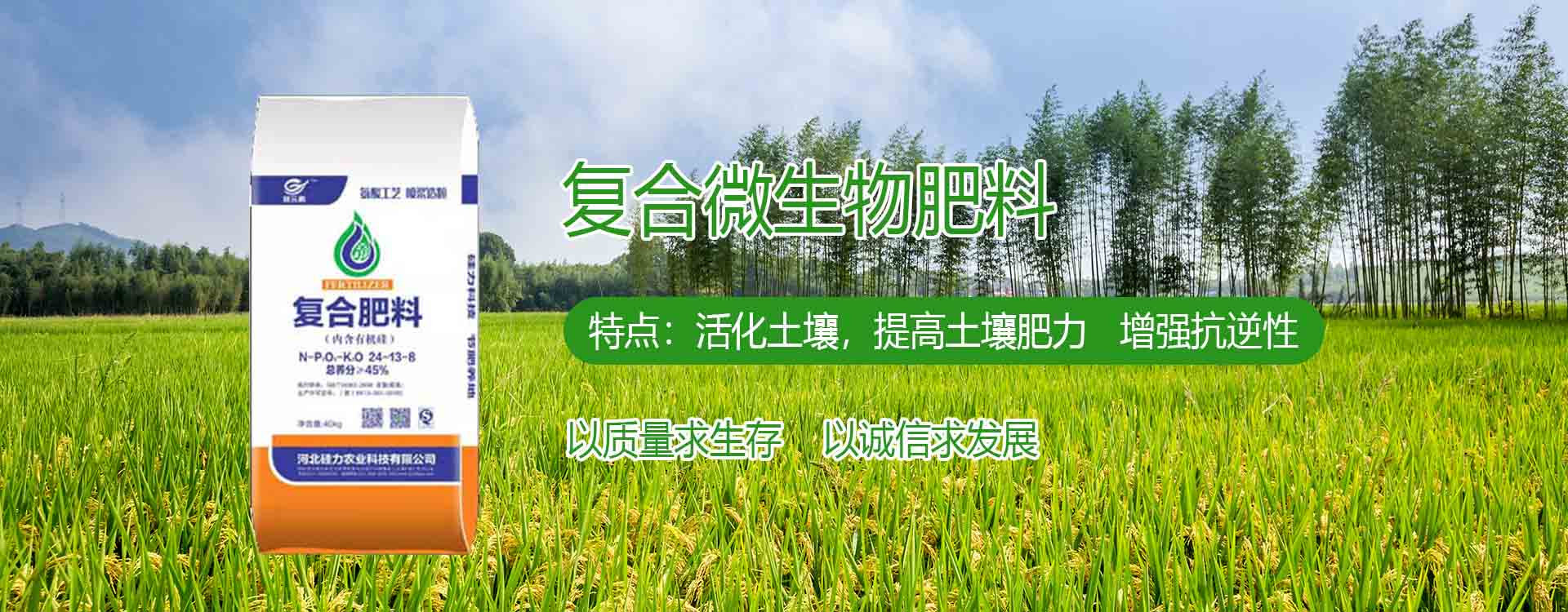 關(guān)鍵詞