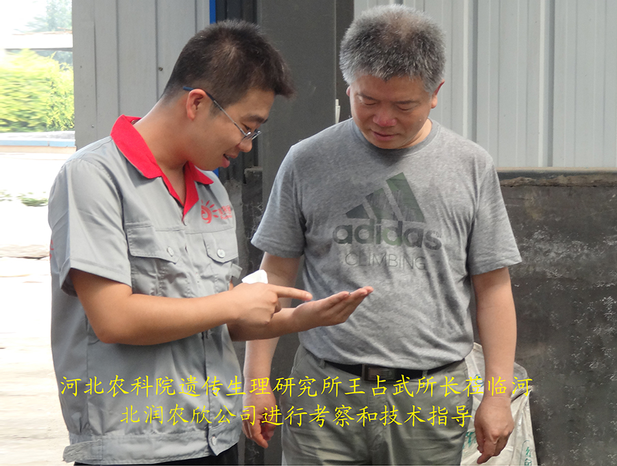 河北润农欣生物科技有限公司