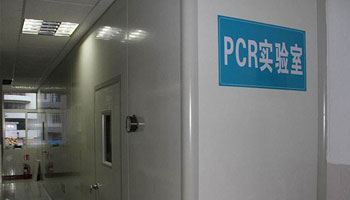 pcr实验室