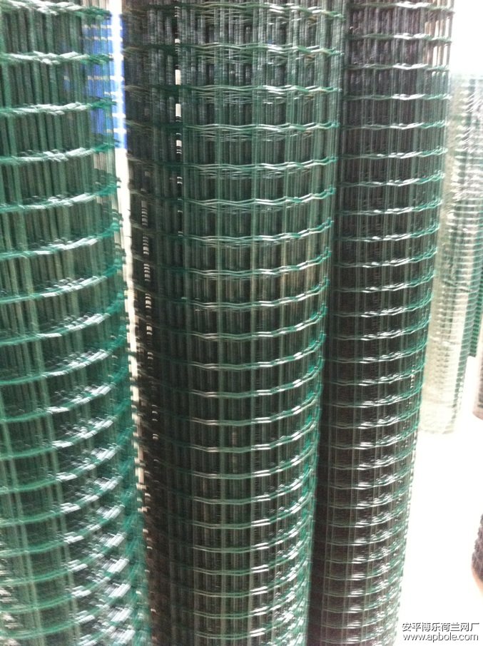 5×5荷兰网 5×5荷兰网