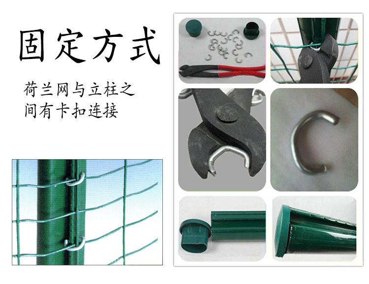 D型柱荷兰网 D型柱荷兰网
