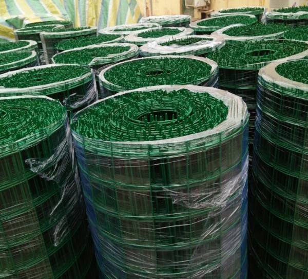 荷兰网 荷兰网